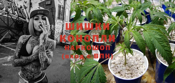ПСИЛОЦИБИНОВЫЕ ГРИБЫ Баксан